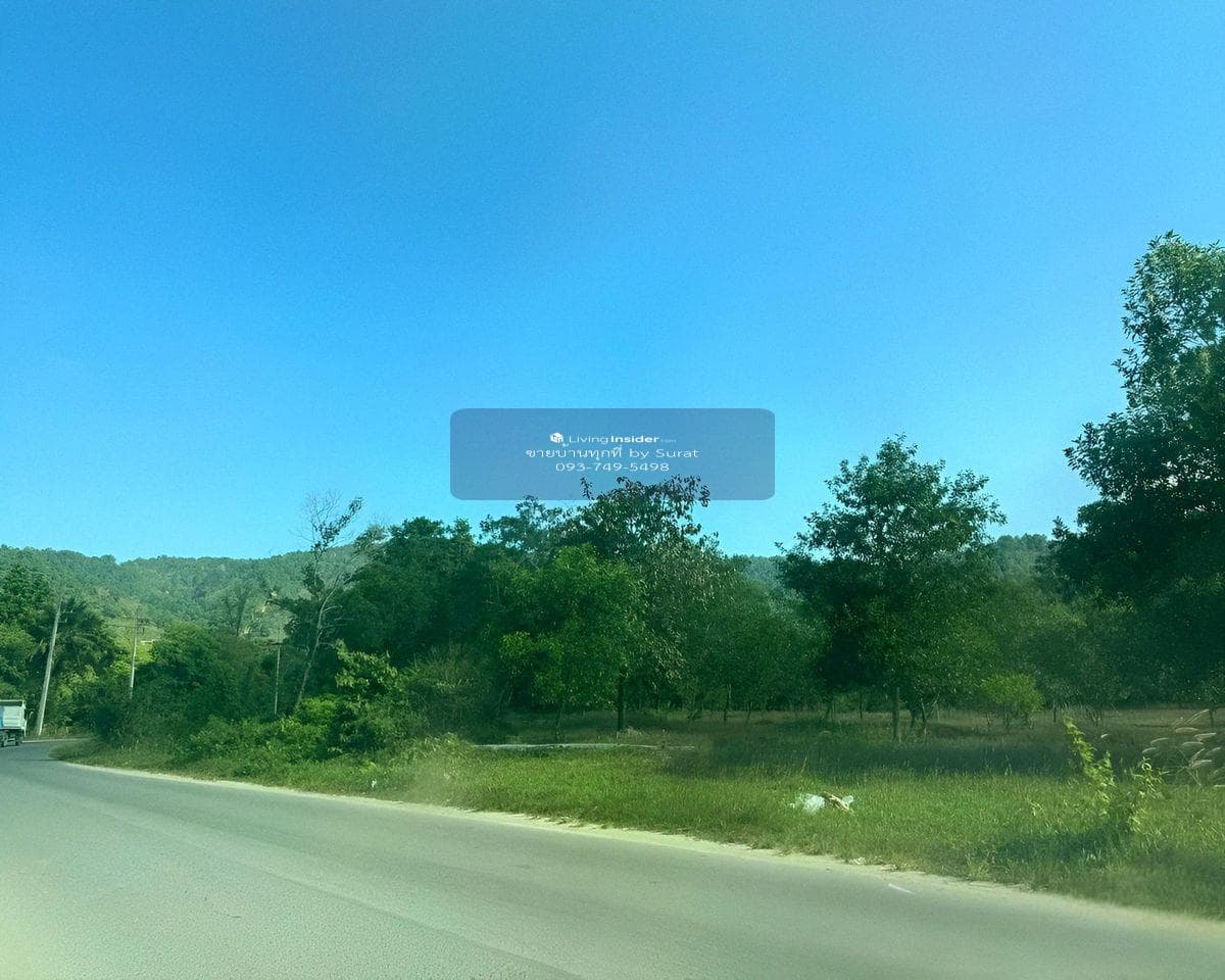 Large Flat Land for Sale in Kamala Phuket | 22 Rai Flat Plot | 1.2 km to Kamala Beach | THB 460M - image 6