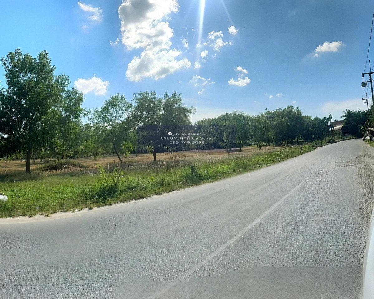 Large Flat Land for Sale in Kamala Phuket | 22 Rai Flat Plot | 1.2 km to Kamala Beach | THB 460M - image 5