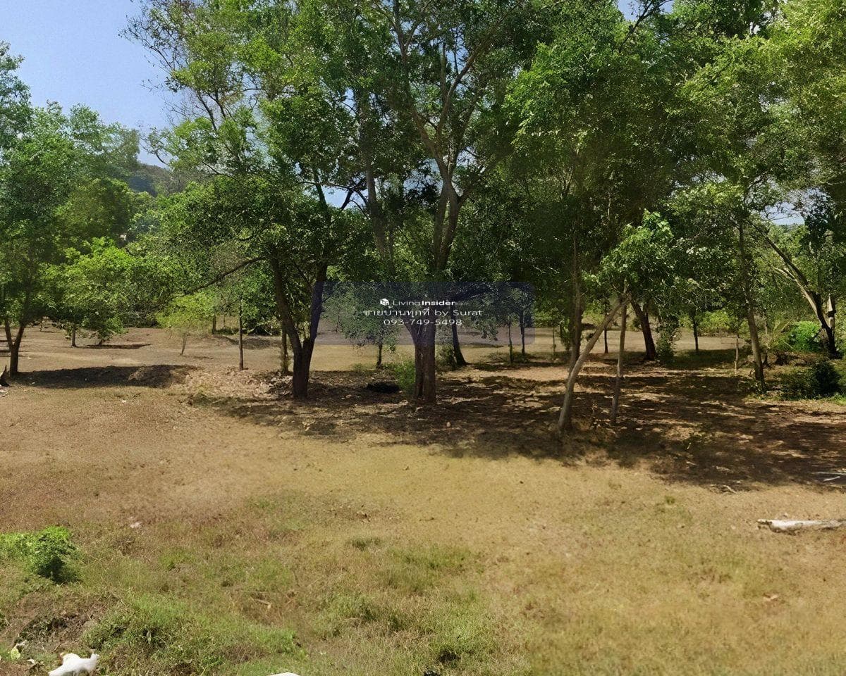 Large Flat Land for Sale in Kamala Phuket | 22 Rai Flat Plot | 1.2 km to Kamala Beach | THB 460M - image 10