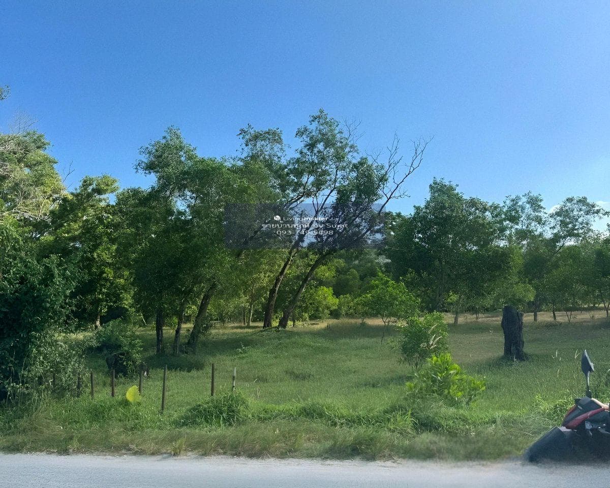 Large Flat Land for Sale in Kamala Phuket | 22 Rai Flat Plot | 1.2 km to Kamala Beach | THB 460M - image 8