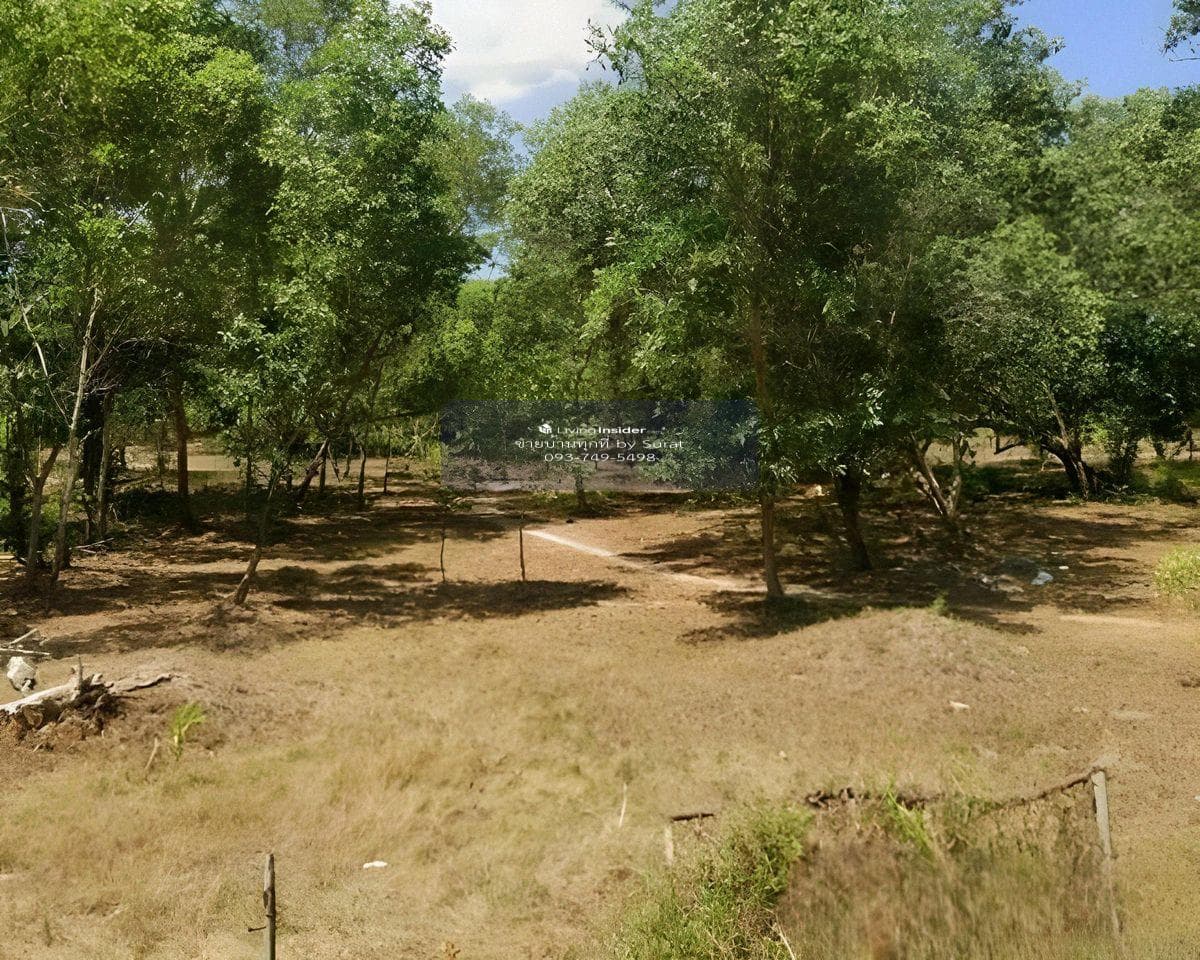 Large Flat Land for Sale in Kamala Phuket | 22 Rai Flat Plot | 1.2 km to Kamala Beach | THB 460M - image 9