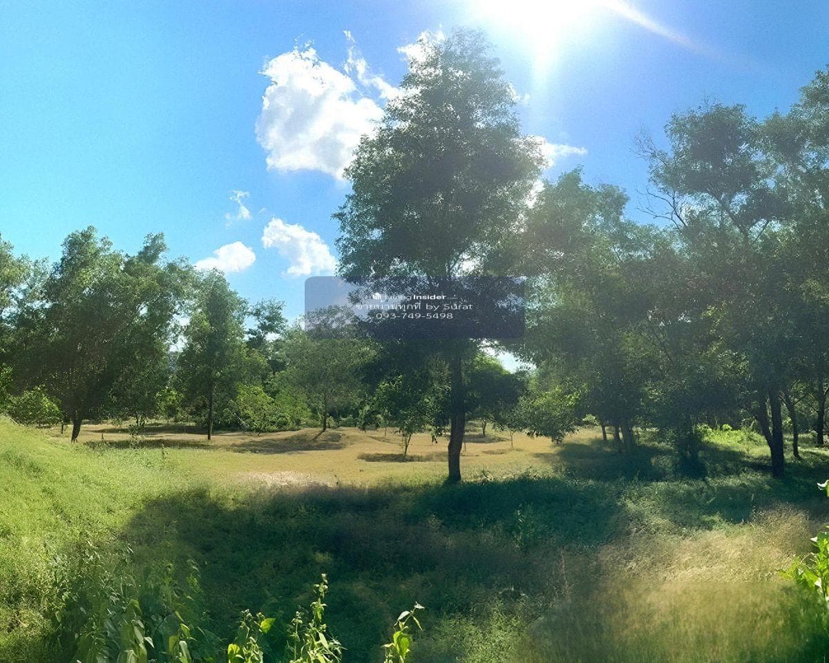 Large Flat Land for Sale in Kamala Phuket | 22 Rai Flat Plot | 1.2 km to Kamala Beach | THB 460M - image 7