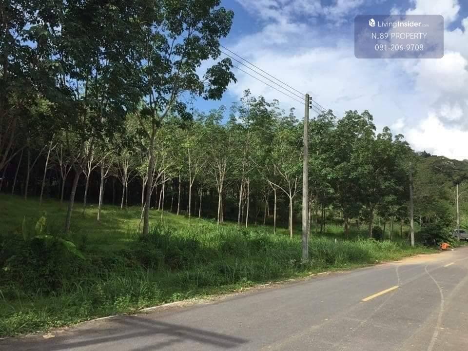 Land for sale in Phuket Province, 13 rai 1 ngan, for sale in Thalang District, Phuket Province, near Lotus Thalang, Ton Tai Waterfall, yellow area, peaceful and private, suitable for making villas, hotels, hospitals, etc. If interested, you can try. - image 6