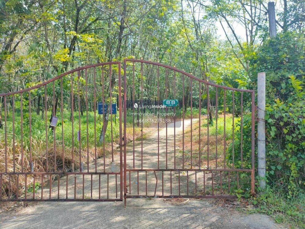 126 rai of vacant land, cheap price in Phuket - image 3