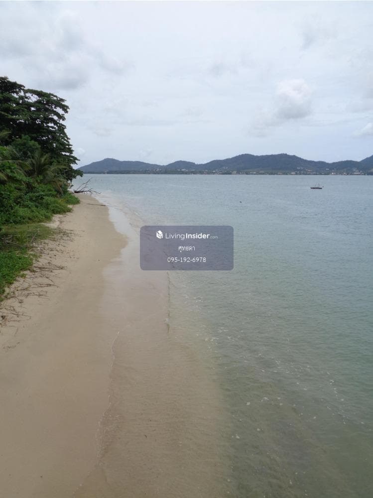 Empty land for sale on Koh Lon, 3 rai 95.6 square wah (with title deed), Rawai Subdistrict, Mueang Phuket District. - image 2
