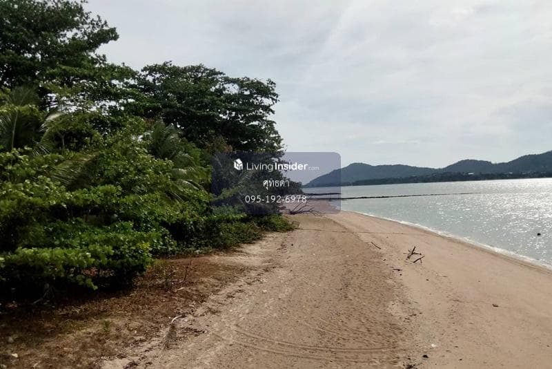 Empty land for sale on Koh Lon, 3 rai 95.6 square wah (with title deed), Rawai Subdistrict, Mueang Phuket District. - image 3