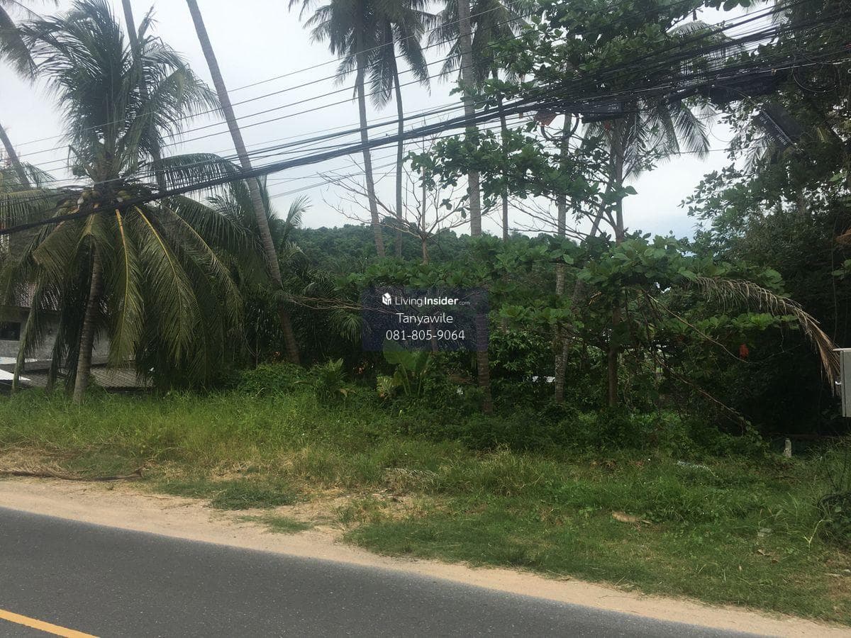 Land for lease @ Yamu pier/Baan Yamu Hotel for rent or sale - image 8