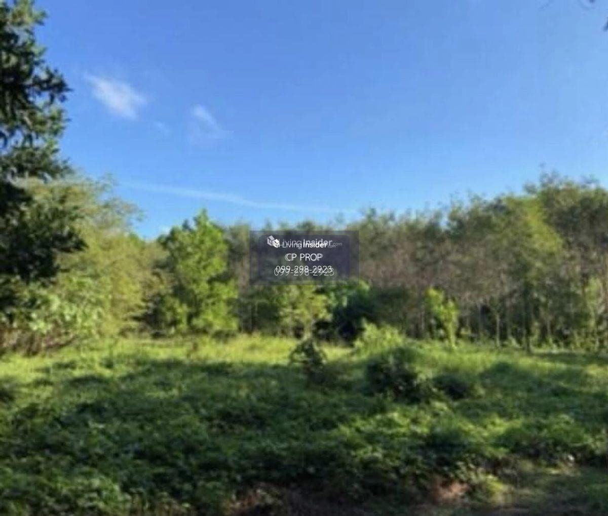 Welcome to Co Agent📍 Land for sale. Beside Ban Laem Sai School Phuket The page is about 85 meters wide, 185 meters deep, almost 10 rai. Interested please contact Aunt Mam Tel/Line: 0992982923. - image 9