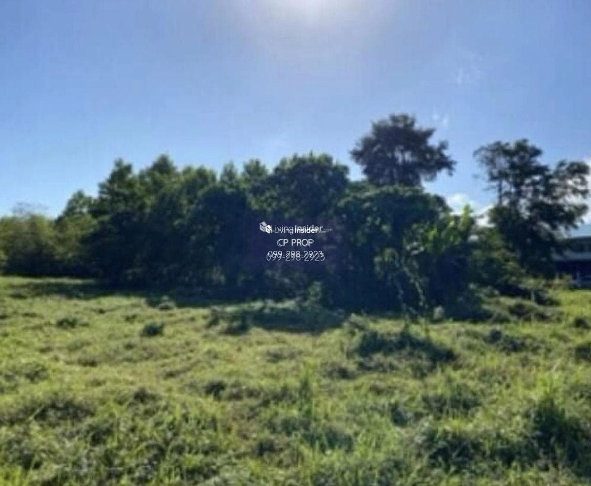 Welcome to Co Agent📍 Land for sale. Beside Ban Laem Sai School Phuket The page is about 85 meters wide, 185 meters deep, almost 10 rai. Interested please contact Aunt Mam Tel/Line: 0992982923. - image 6