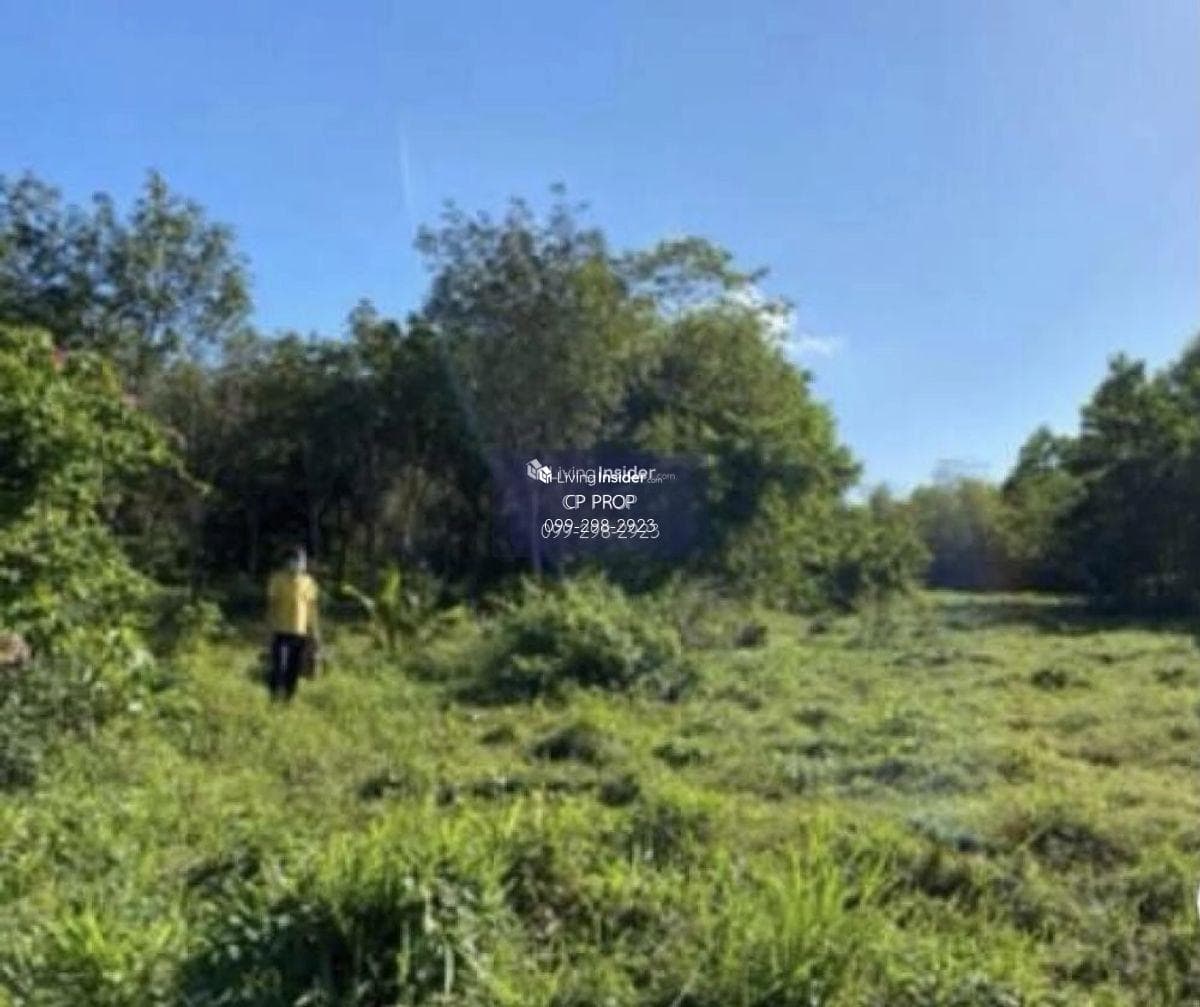 Welcome to Co Agent📍 Land for sale. Beside Ban Laem Sai School Phuket The page is about 85 meters wide, 185 meters deep, almost 10 rai. Interested please contact Aunt Mam Tel/Line: 0992982923. - image 5