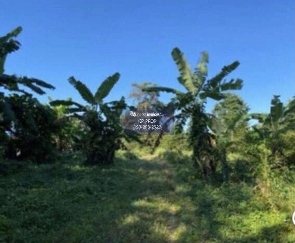 Welcome to Co Agent📍 Land for sale. Beside Ban Laem Sai School Phuket The page is about 85 meters wide, 185 meters deep, almost 10 rai. Interested please contact Aunt Mam Tel/Line: 0992982923. - image 2