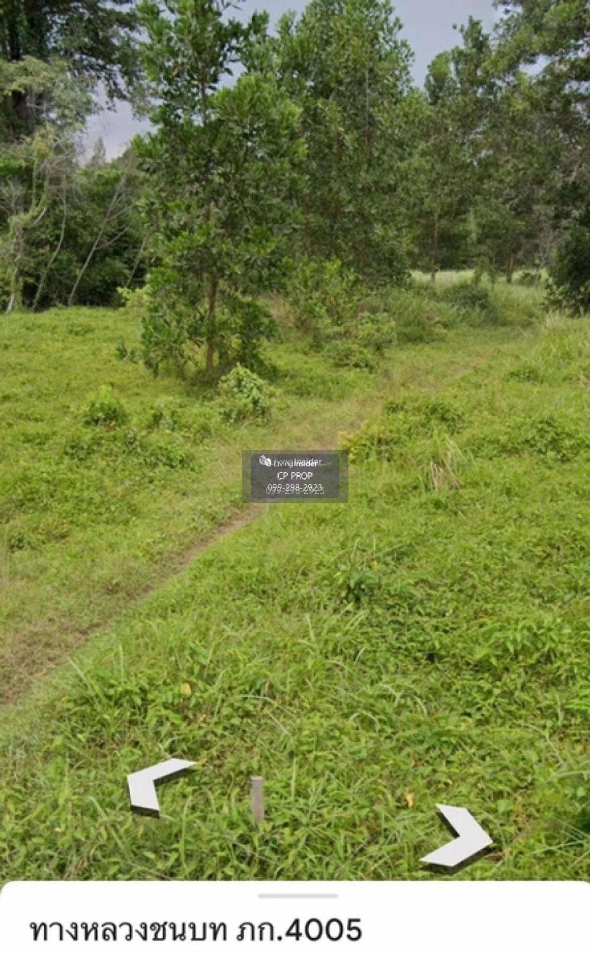 Welcome to Co Agent📍 Land for sale. Beside Ban Laem Sai School Phuket The page is about 85 meters wide, 185 meters deep, almost 10 rai. Interested please contact Aunt Mam Tel/Line: 0992982923. - image 10