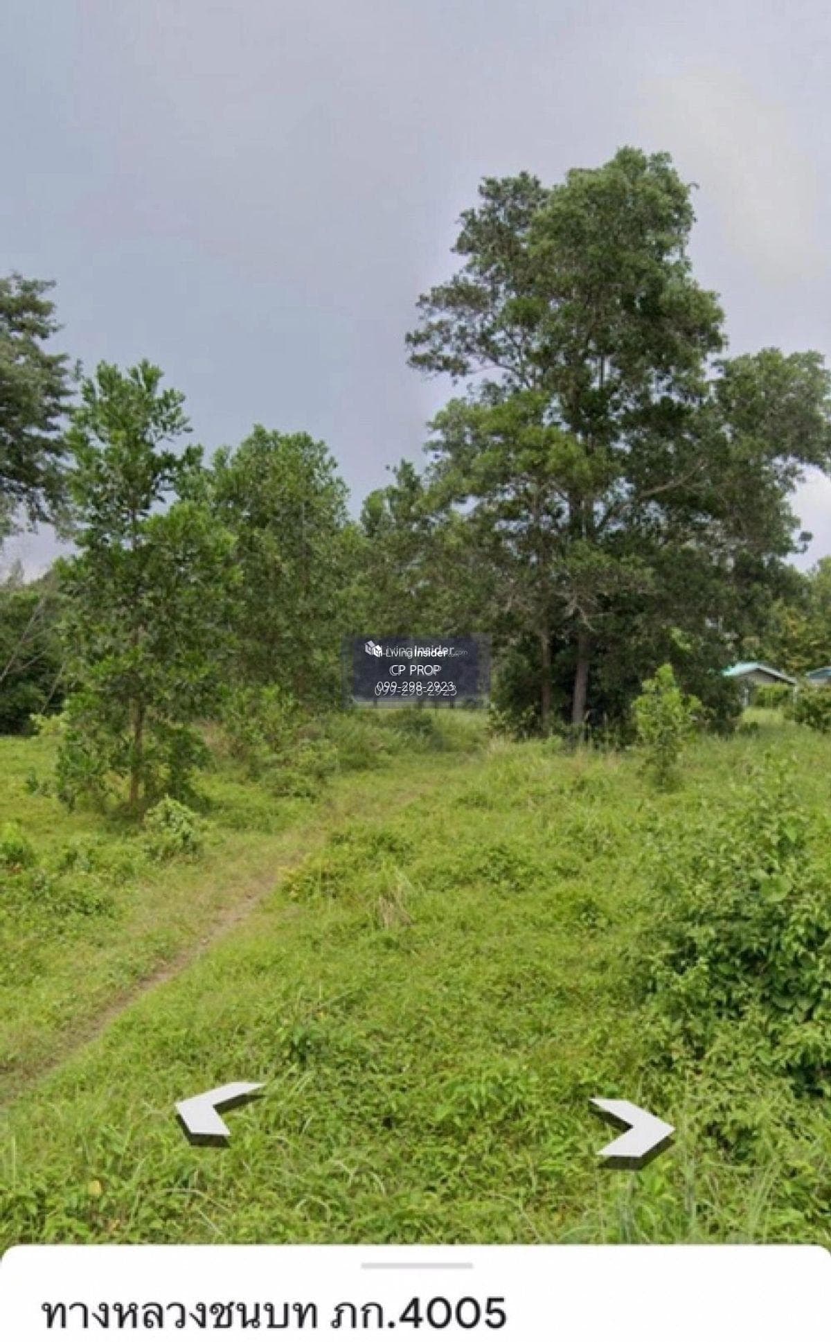 Welcome to Co Agent📍 Land for sale. Beside Ban Laem Sai School Phuket The page is about 85 meters wide, 185 meters deep, almost 10 rai. Interested please contact Aunt Mam Tel/Line: 0992982923. - image 8