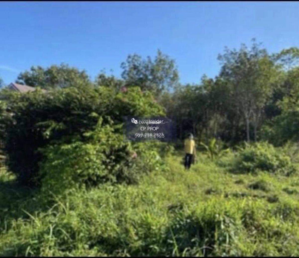 Welcome to Co Agent📍 Land for sale. Beside Ban Laem Sai School Phuket The page is about 85 meters wide, 185 meters deep, almost 10 rai. Interested please contact Aunt Mam Tel/Line: 0992982923. - image 7