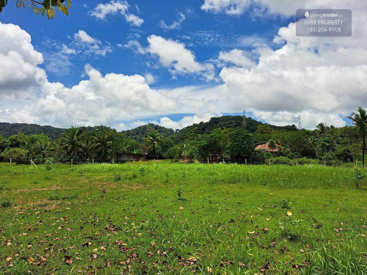 Land for sale in Phuket, 1 rai 3 ngan 63.2 sq m. Whole plot for sale, Thalang District, Phuket Province, near Thepkrasattri Road, near Lotus Thalang, green zone area. Omlom mountain view, beautiful land, suitable for making a pool villa, luxury accommodat - image 9