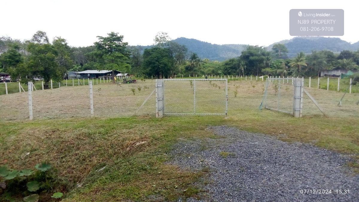 Land for sale in Phuket, 1 rai 3 ngan 63.2 sq m. Whole plot for sale, Thalang District, Phuket Province, near Thepkrasattri Road, near Lotus Thalang, green zone area. Omlom mountain view, beautiful land, suitable for making a pool villa, luxury accommodat - image 10