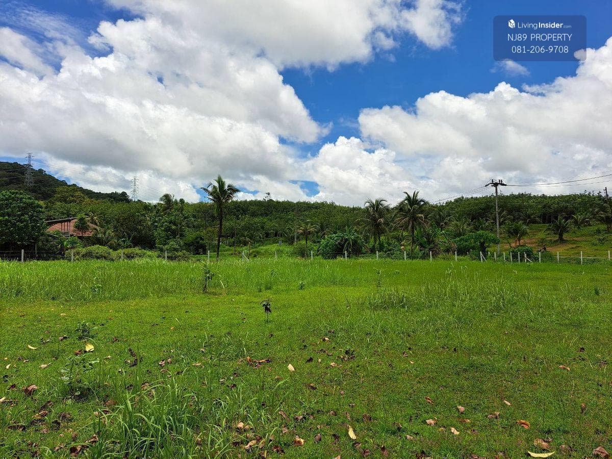 Land for sale in Phuket, 1 rai 3 ngan 63.2 sq m. Whole plot for sale, Thalang District, Phuket Province, near Thepkrasattri Road, near Lotus Thalang, green zone area. Omlom mountain view, beautiful land, suitable for making a pool villa, luxury accommodat - image 3