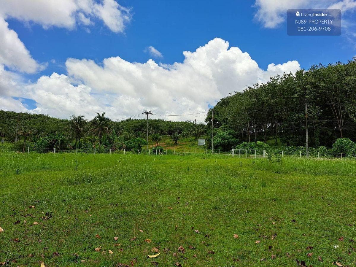 Land for sale in Phuket, 1 rai 3 ngan 63.2 sq m. Whole plot for sale, Thalang District, Phuket Province, near Thepkrasattri Road, near Lotus Thalang, green zone area. Omlom mountain view, beautiful land, suitable for making a pool villa, luxury accommodat - image 8