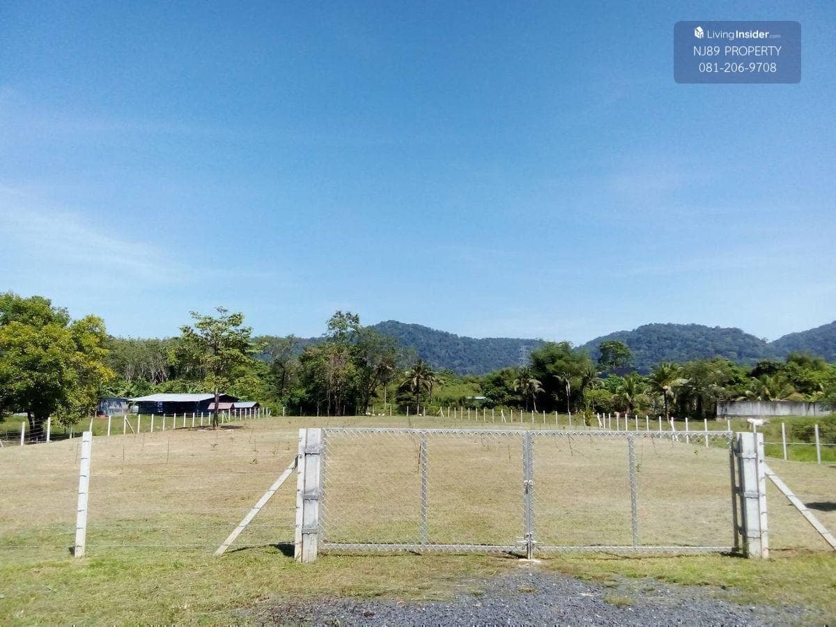 Land for sale in Phuket, 1 rai 3 ngan 63.2 sq m. Whole plot for sale, Thalang District, Phuket Province, near Thepkrasattri Road, near Lotus Thalang, green zone area. Omlom mountain view, beautiful land, suitable for making a pool villa, luxury accommodat - image 4