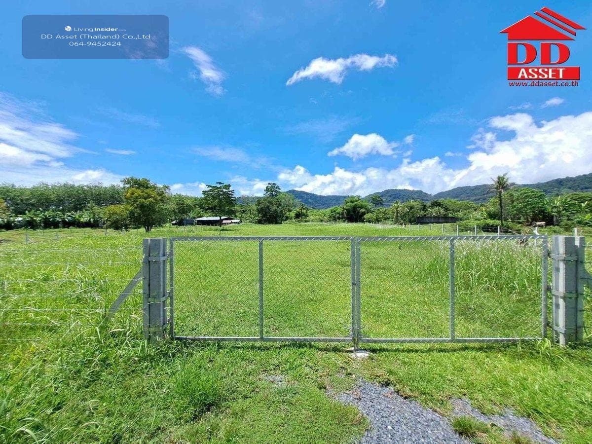 Land for sale in Phuket, Thalang District, Ban Khuan, near Thalang District Office, code: L8048
