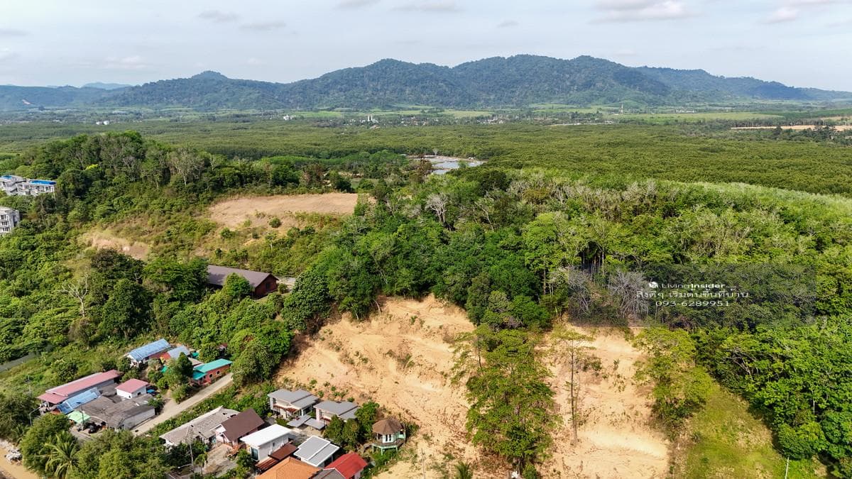 📌Land for sale in Ao Por, Phuket, 8 rai - yellow layout, sea view (🌊 Sea View), suitable for a luxury Pool Villa ✨ next to the road on 2 sides! - image 10