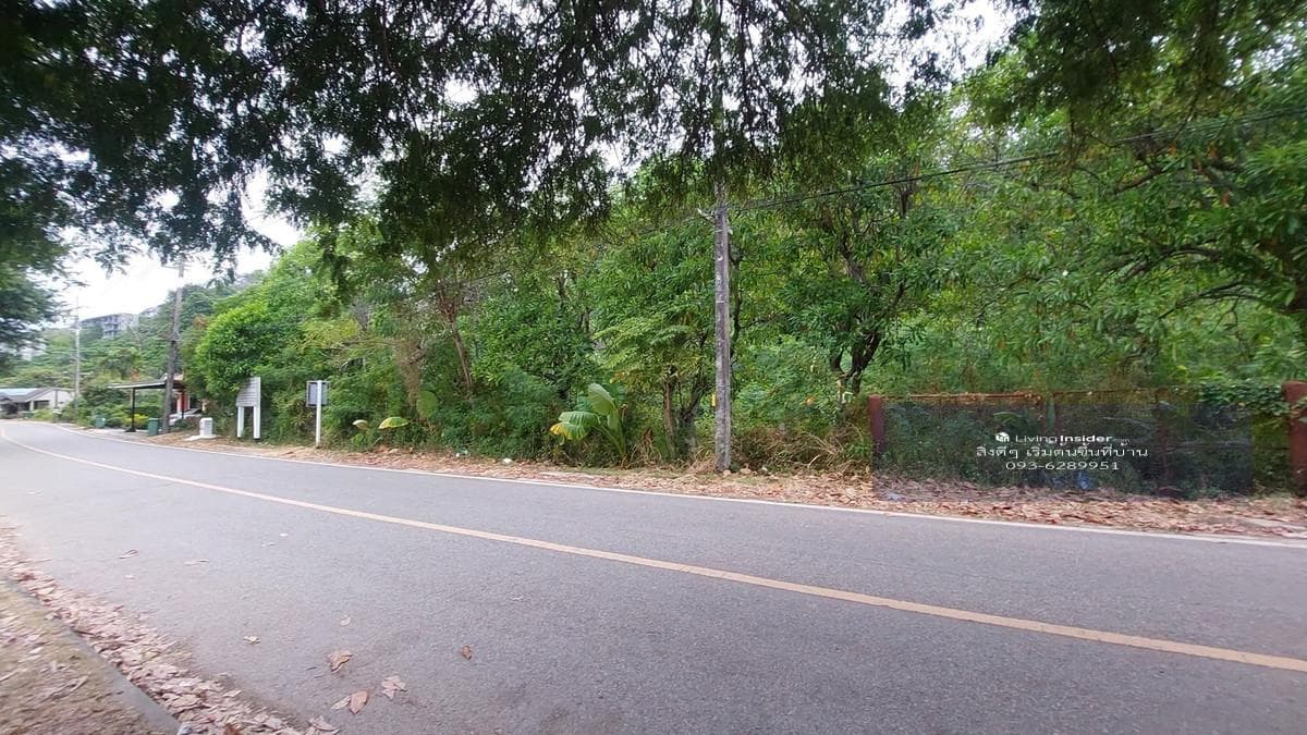 📌Land for sale in Ao Por, Phuket, 8 rai - yellow layout, sea view (🌊 Sea View), suitable for a luxury Pool Villa ✨ next to the road on 2 sides! - image 5