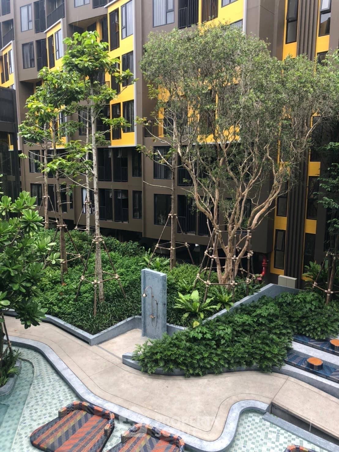 1-BR Condo at THE BASE Central – Phuket close to Kathu (ID 1241811) - image 7