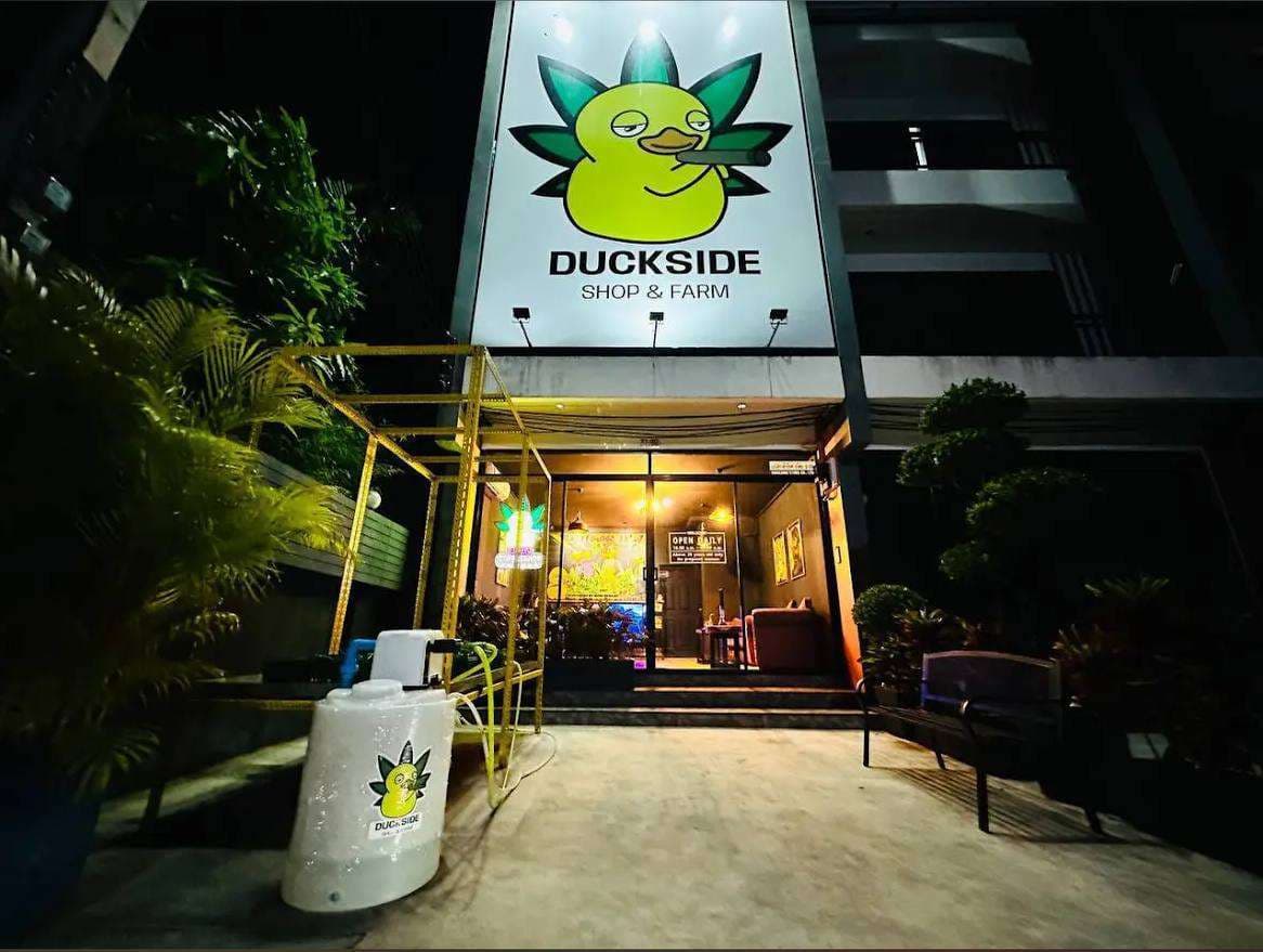 PHUKET! 5 CANNABIS SHOPS + CANNABIS FARM + MANUFACTURE