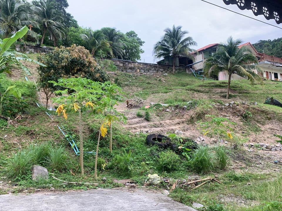 Land for sale, area 1 rai With buildings, restaurants, Soi Kuan Yang, Patong, sea and mountain views. - image 6