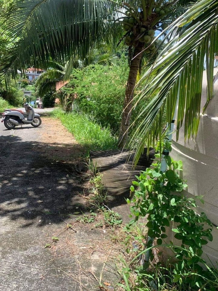 Land for sale, area 1 rai With buildings, restaurants, Soi Kuan Yang, Patong, sea and mountain views. - image 7