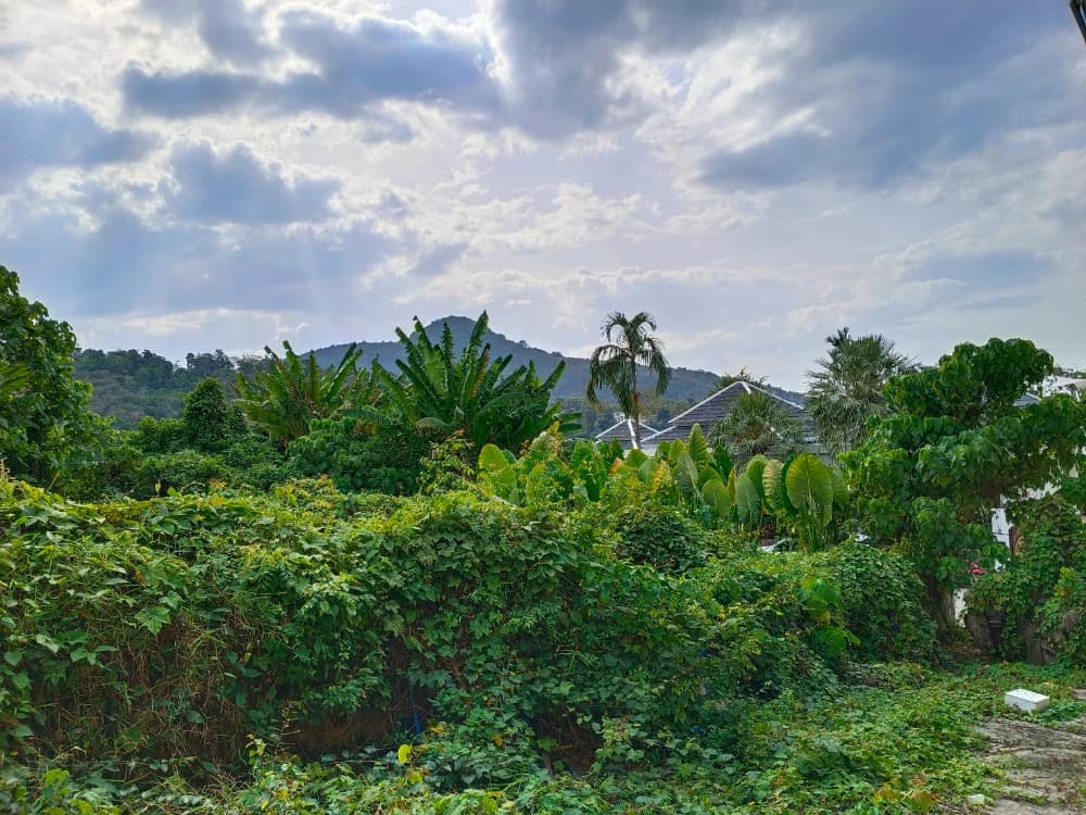Land for sale 287 square meters, Kamala Soi 8, near Kamala Beach, partial sea view, on a hill 43 meters above sea level, Kamala, Kathu, Phuket, width 34 meters. Suitable for hotel, resort, house 46,000/square wah - image 6
