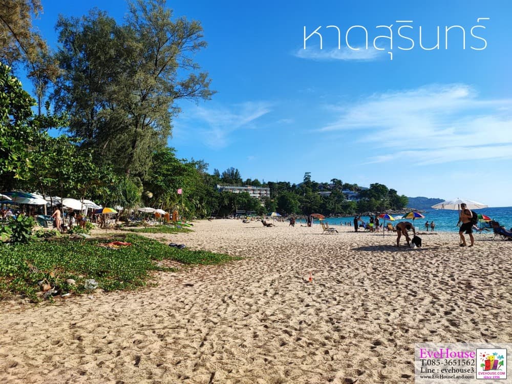 Land For Sale, Choeng Thale, Surin Beach, Size 10 Rai, 20 Million/Rai. - image 3
