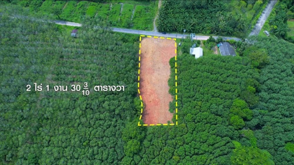 Land for sale 2 rai 1 ngan 30.3 sq m. Located in Kung Bay, Thalang, Phuket. - image 4