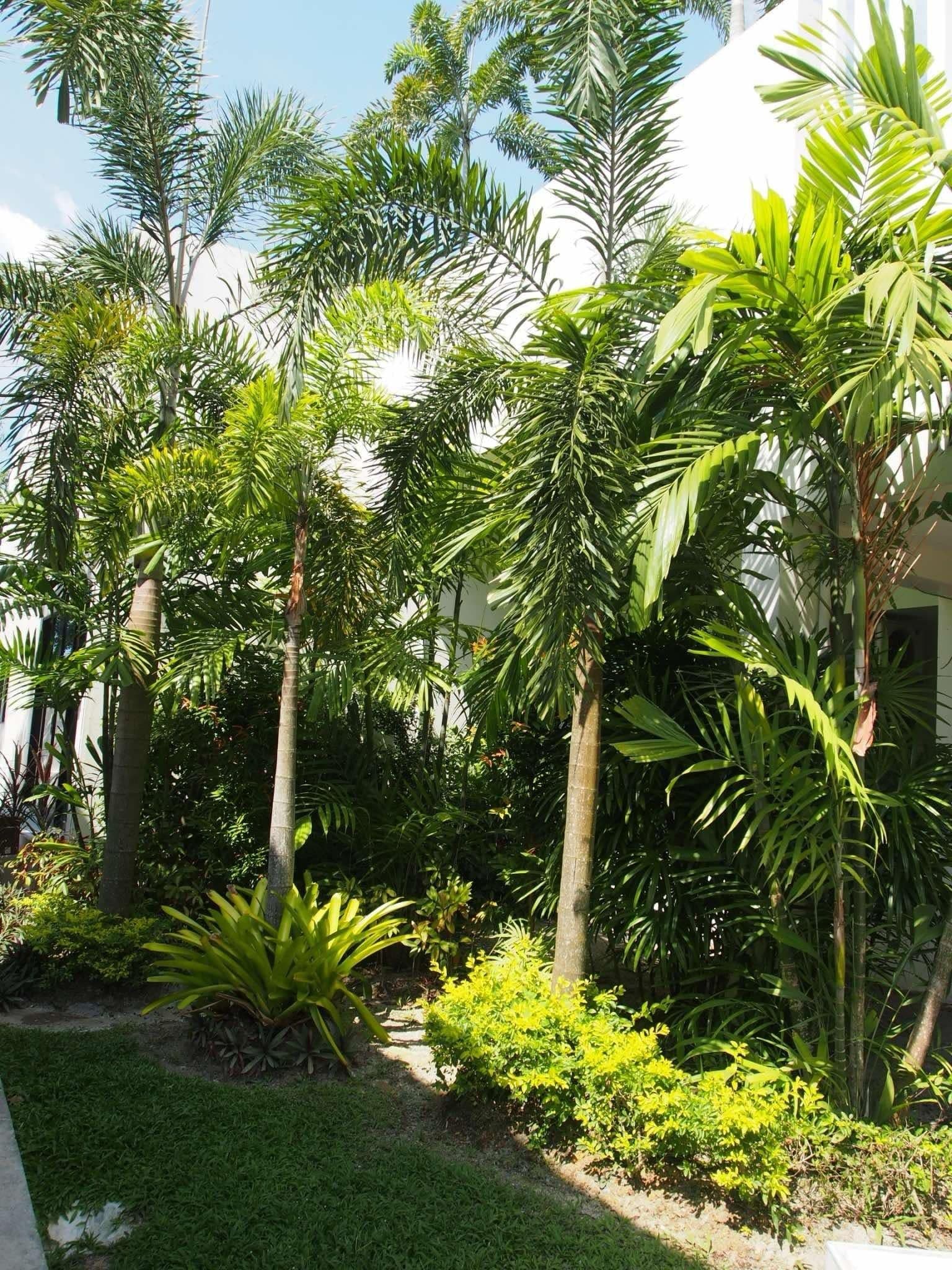 Happy Place Condo U5372156 - image 5