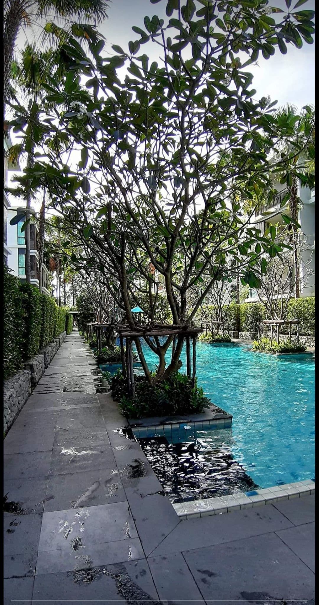 1 Bedroom Condo for sale at The Title Rawai Phase 1-2  U5378533 - image 8