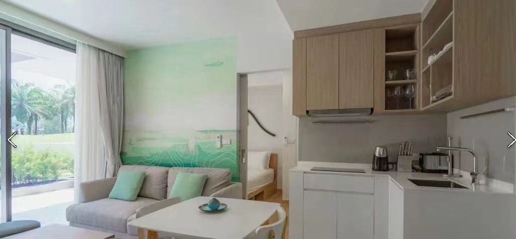 Overseas share of a 29 SQM one-bedroom apartment in U5551142