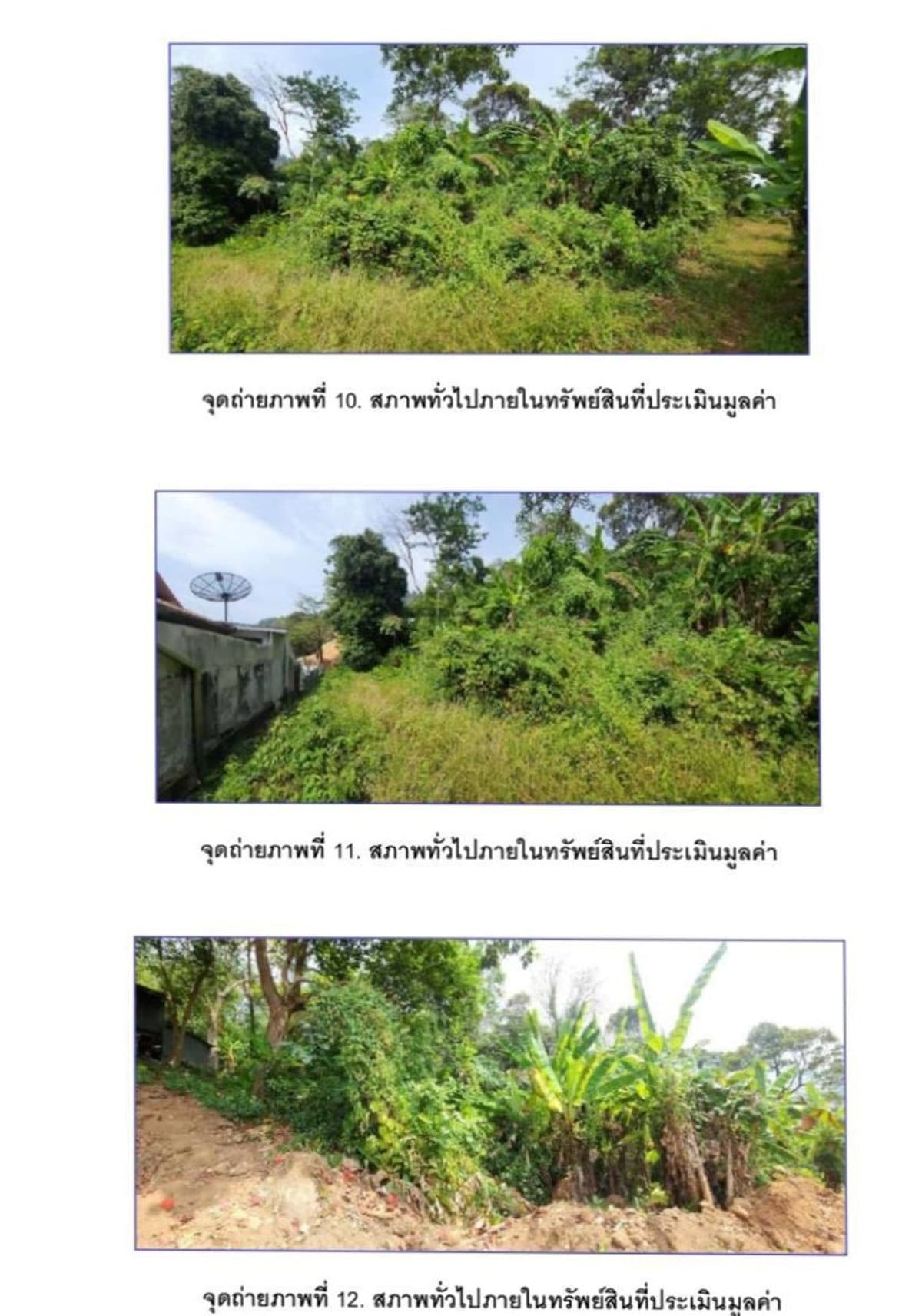 🔥 Freehold Land for Sale – Prime Location, Patong, Phuket Price Far Below Private Valuation | Ideal for Development🔥 普吉岛芭东核心地段 土地出售（永久产权） 价格远低于市场评估｜开发投资首选 - image 3