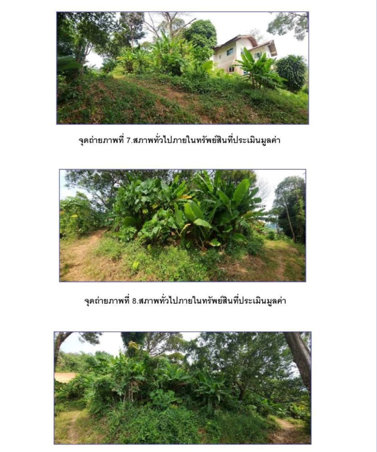 🔥 Freehold Land for Sale – Prime Location, Patong, Phuket Price Far Below Private Valuation | Ideal for Development🔥 普吉岛芭东核心地段 土地出售（永久产权） 价格远低于市场评估｜开发投资首选 - image 2