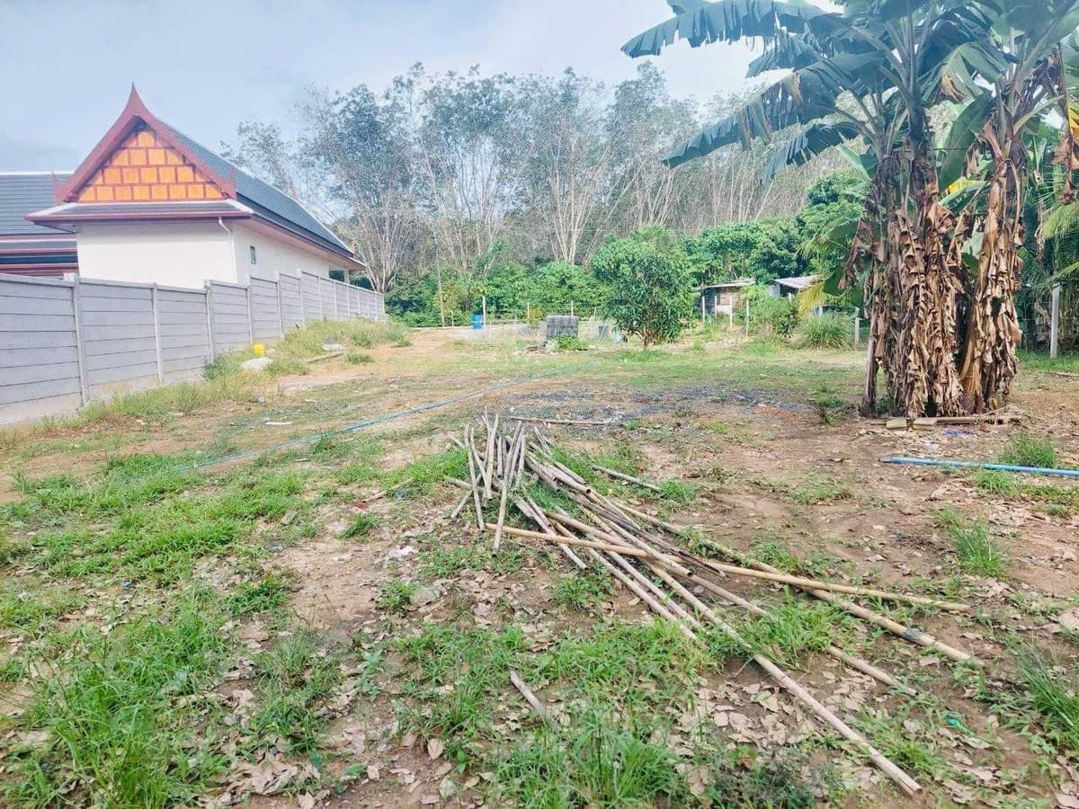 Prime Land for Sale in Phuket: 2 Ngan 37 Sq. Wah High Investment Potential - image 3