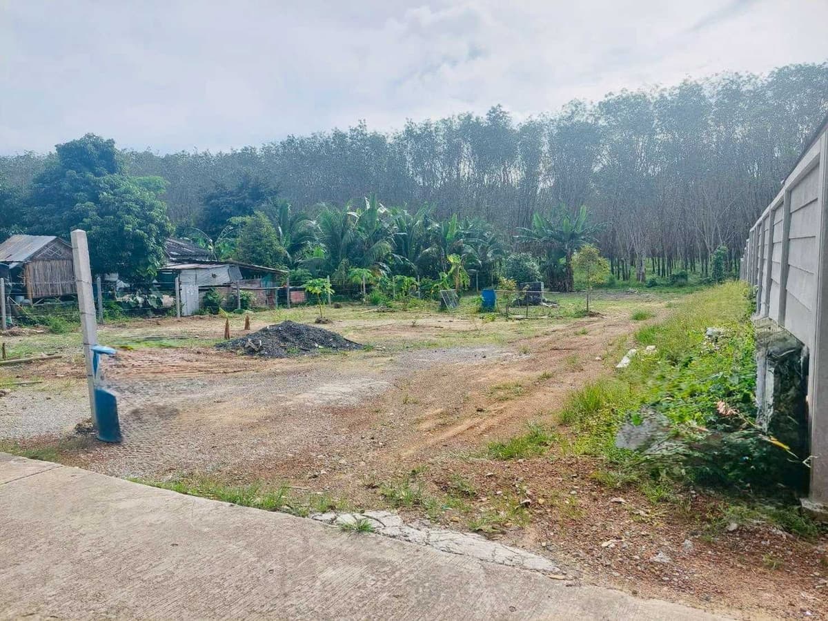 Prime Land for Sale in Phuket: 2 Ngan 37 Sq. Wah High Investment Potential - image 4