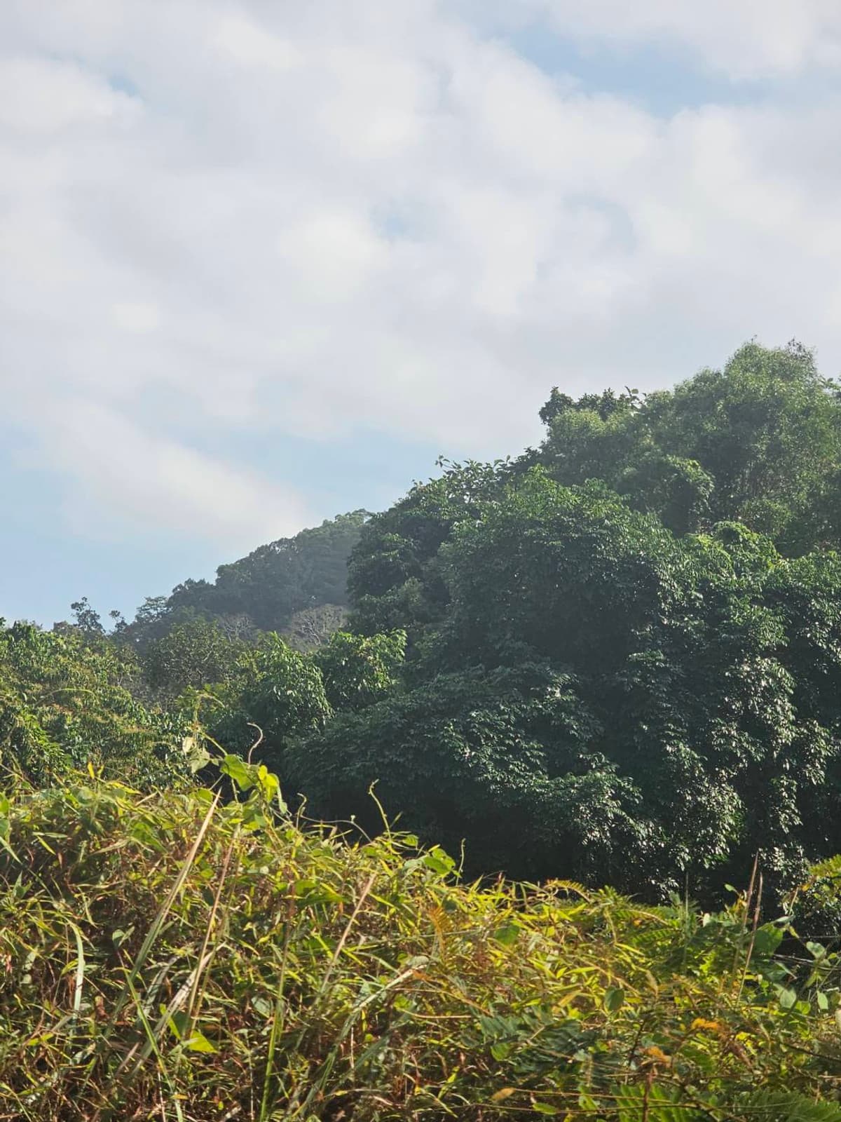 Available Land For Sale in Phuket, Pah-Klog, Mueng  PHUKET PROVINCE., THAILAND. - image 8