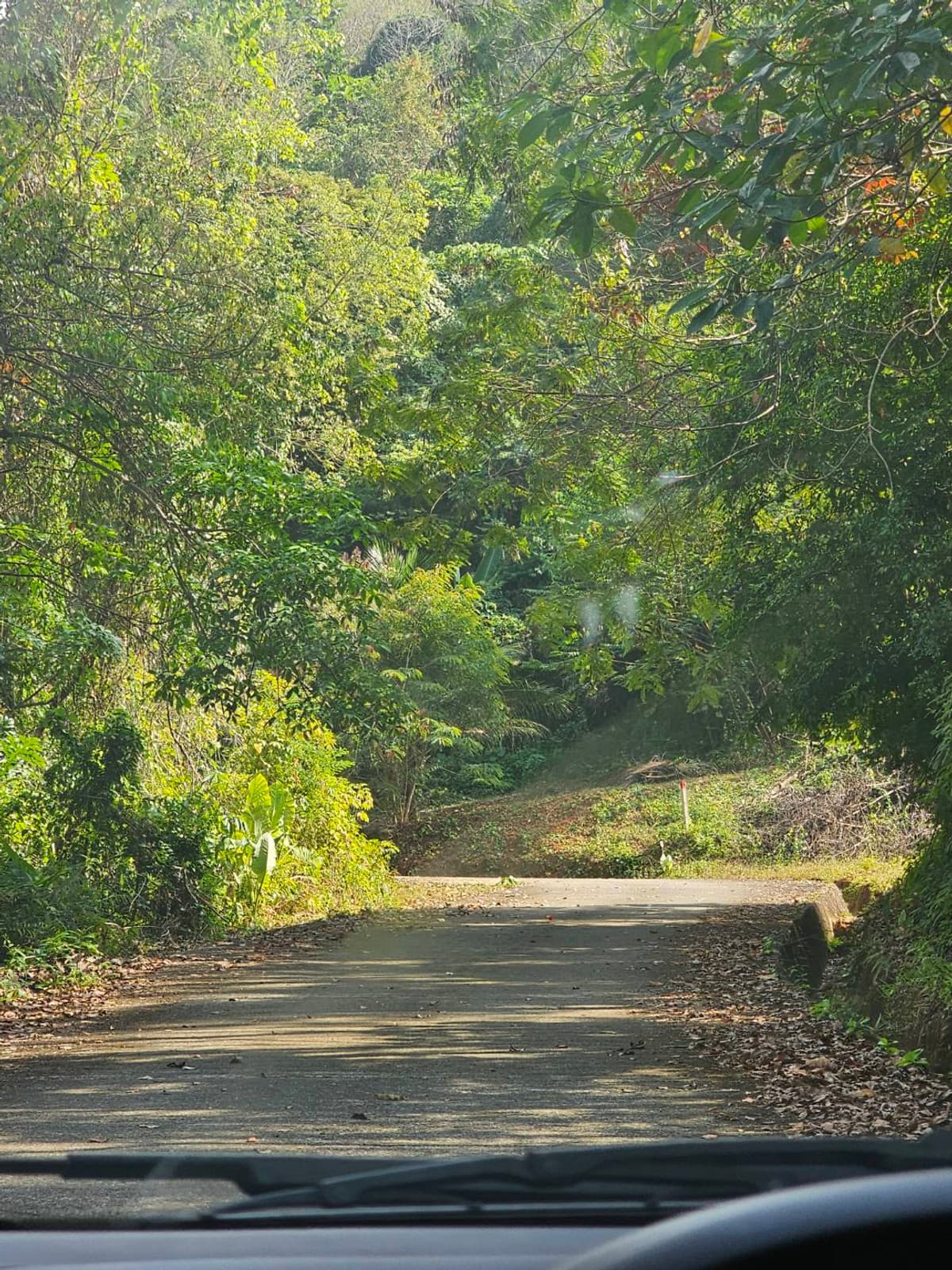 Available Land For Sale in Phuket, Pah-Klog, Mueng  PHUKET PROVINCE., THAILAND. - image 5