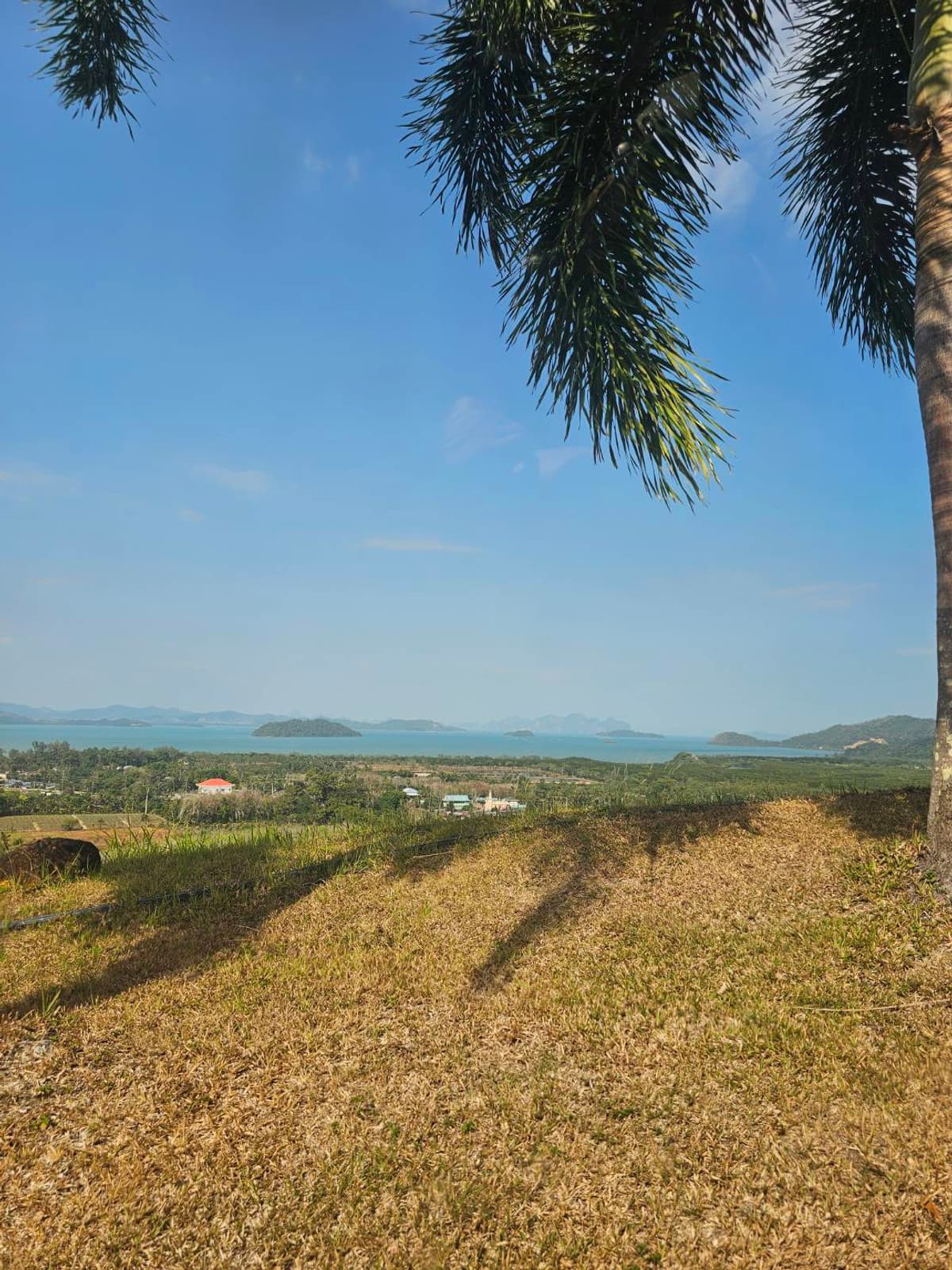 Available Land For Sale in Phuket, Pah-Klog, Mueng  PHUKET PROVINCE., THAILAND. - image 4