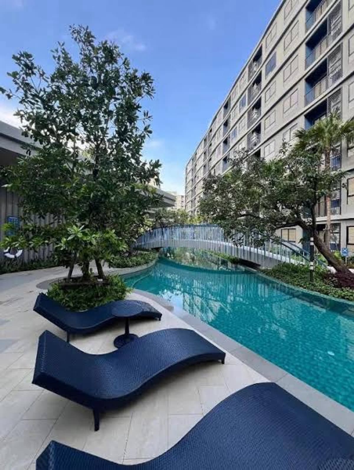 D Condo Reef for rent. - image 4