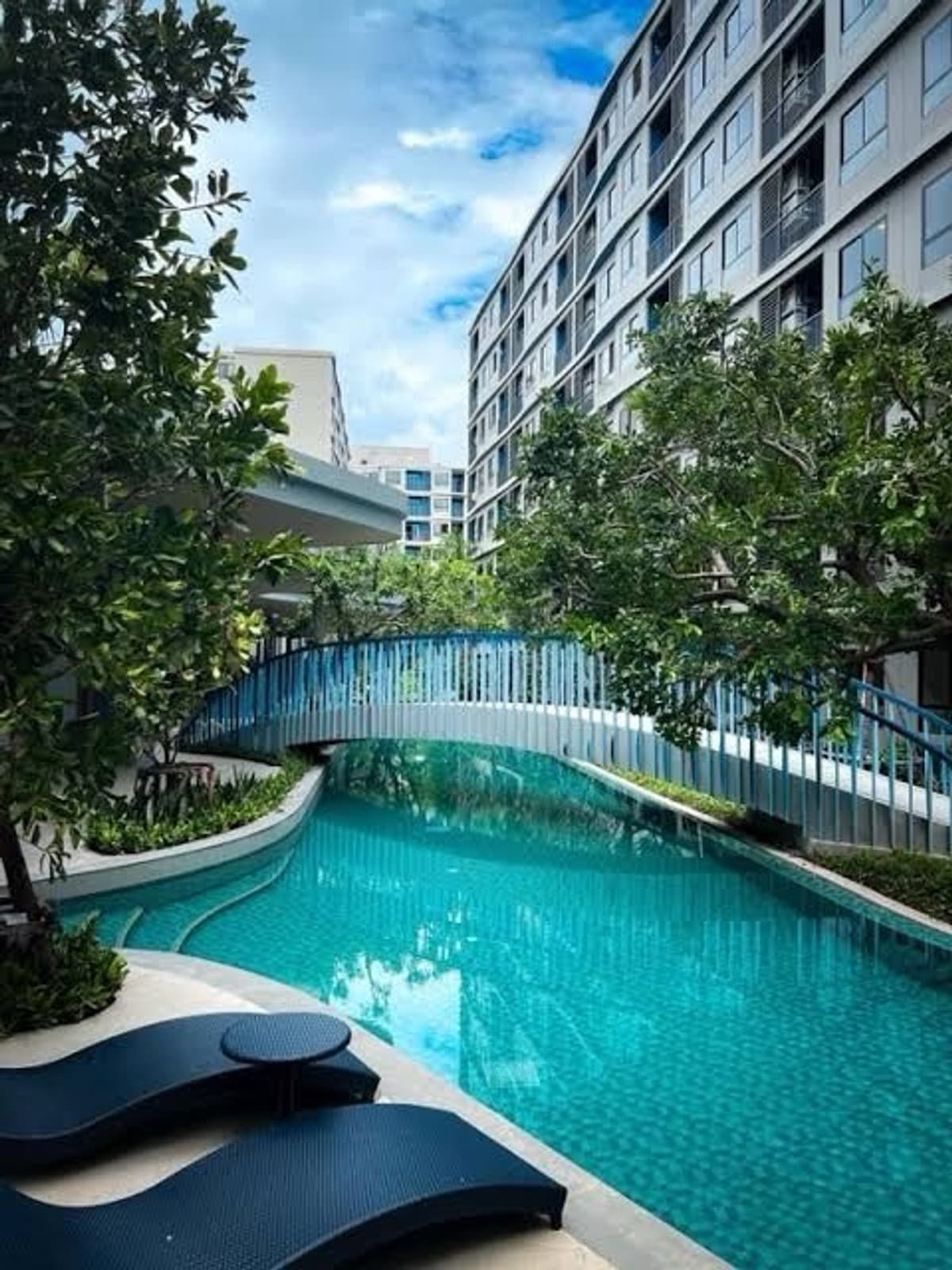D Condo Reef for rent. - image 3