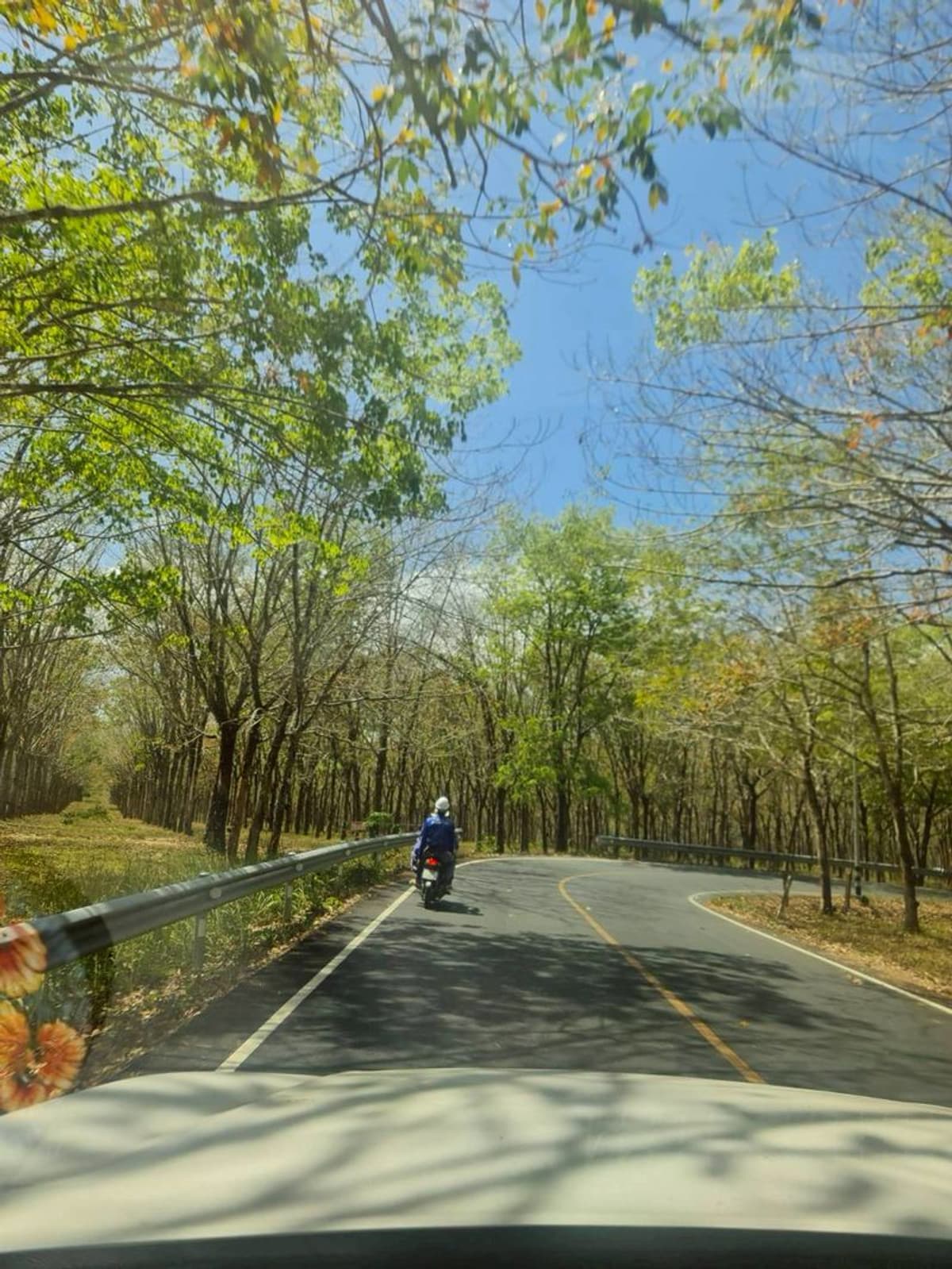 Empty land for sale, good location, near Mai Khao Beach. Phuket Province Good price, very good location Contact Phuengrati 0619419639 - image 4