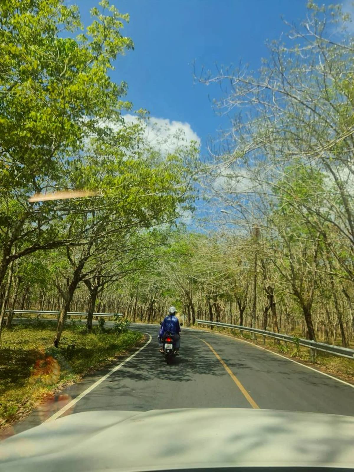 Empty land for sale, good location, near Mai Khao Beach. Phuket Province Good price, very good location Contact Phuengrati 0619419639 - image 3