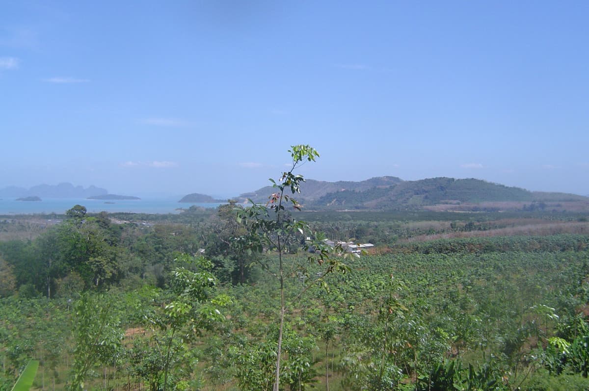 Special sea view land for sale – Baan Para Pa Khlok, Phuket | 7 rai | 180 degree panoramic sea view. - image 4