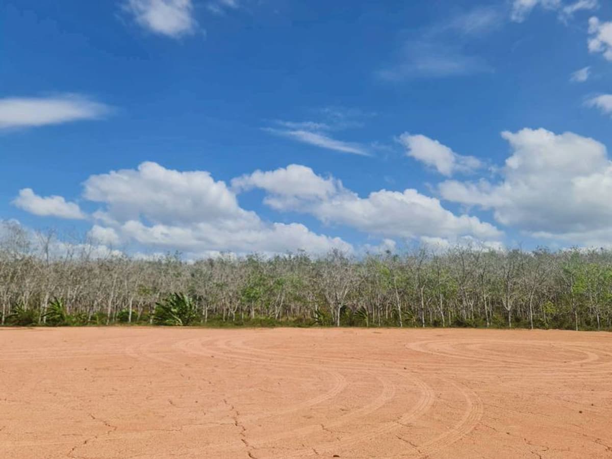 Empty land for sale, good location, near Mai Khao Beach. Phuket Province Good price, very good location Contact Phuengrati 0619419639 - image 2