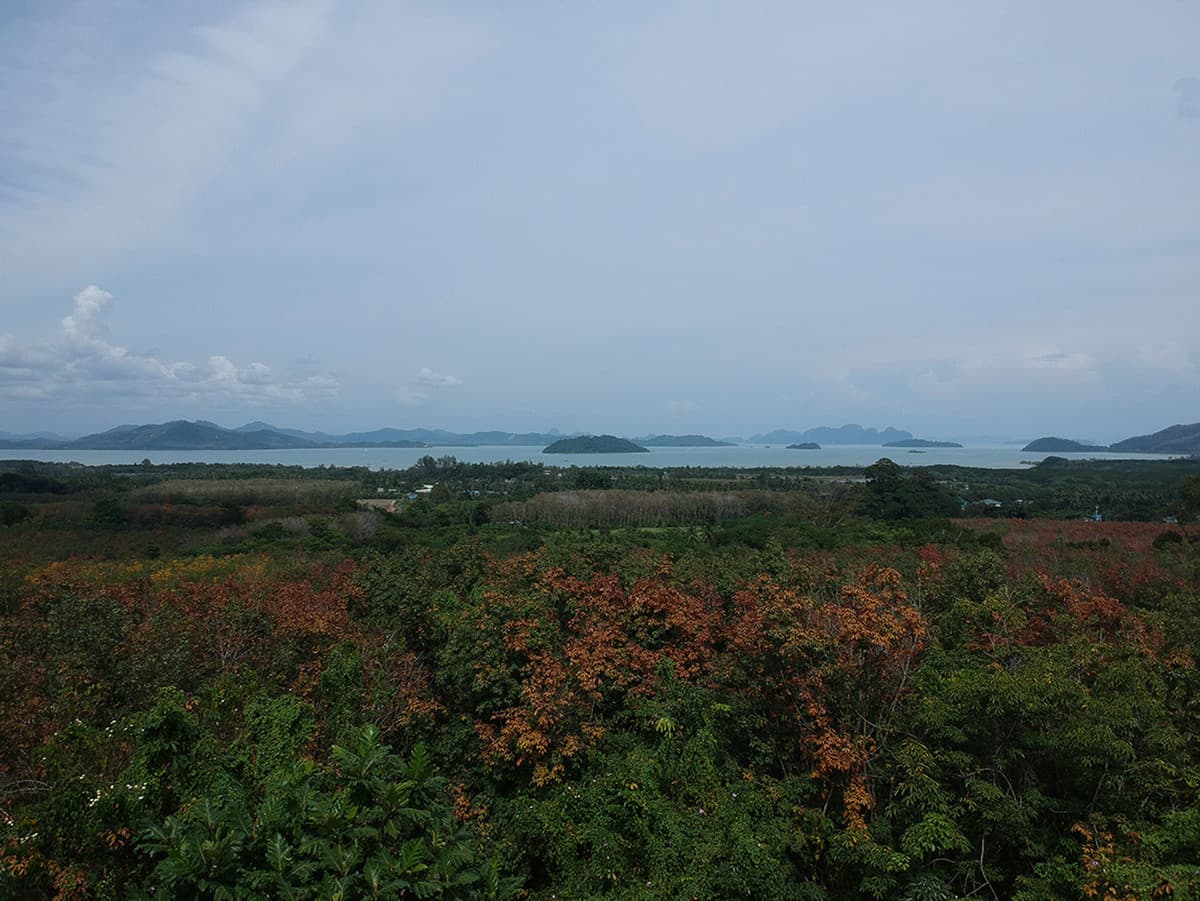Special sea view land for sale – Baan Para Pa Khlok, Phuket | 7 rai | 180 degree panoramic sea view. - image 2